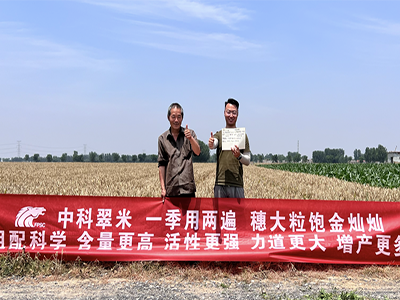 炎炎夏日，盛夏六月—致敬市场美丽身影